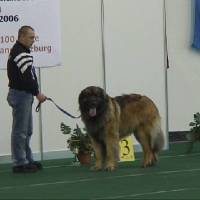 Salzburg Clubschau Mai 06 164 